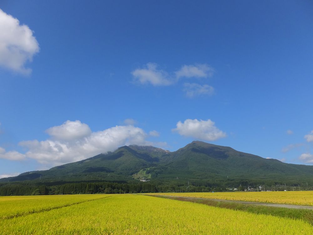 会津磐梯山と黄金色の田んぼ