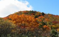 安達太良山の紅葉