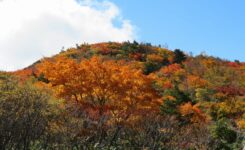 安達太良山の紅葉