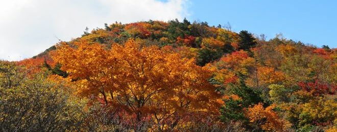 安達太良山の紅葉