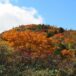 安達太良山の紅葉