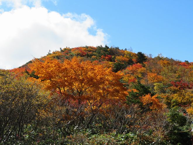 安達太良山の紅葉