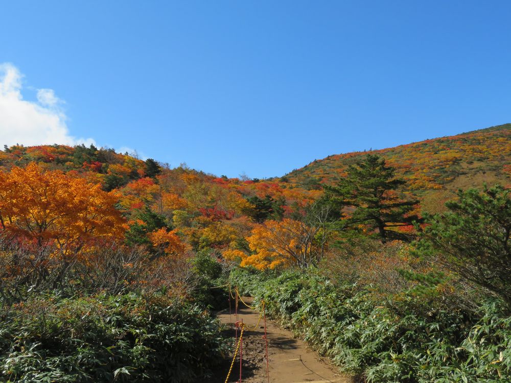 安達太良山の紅葉