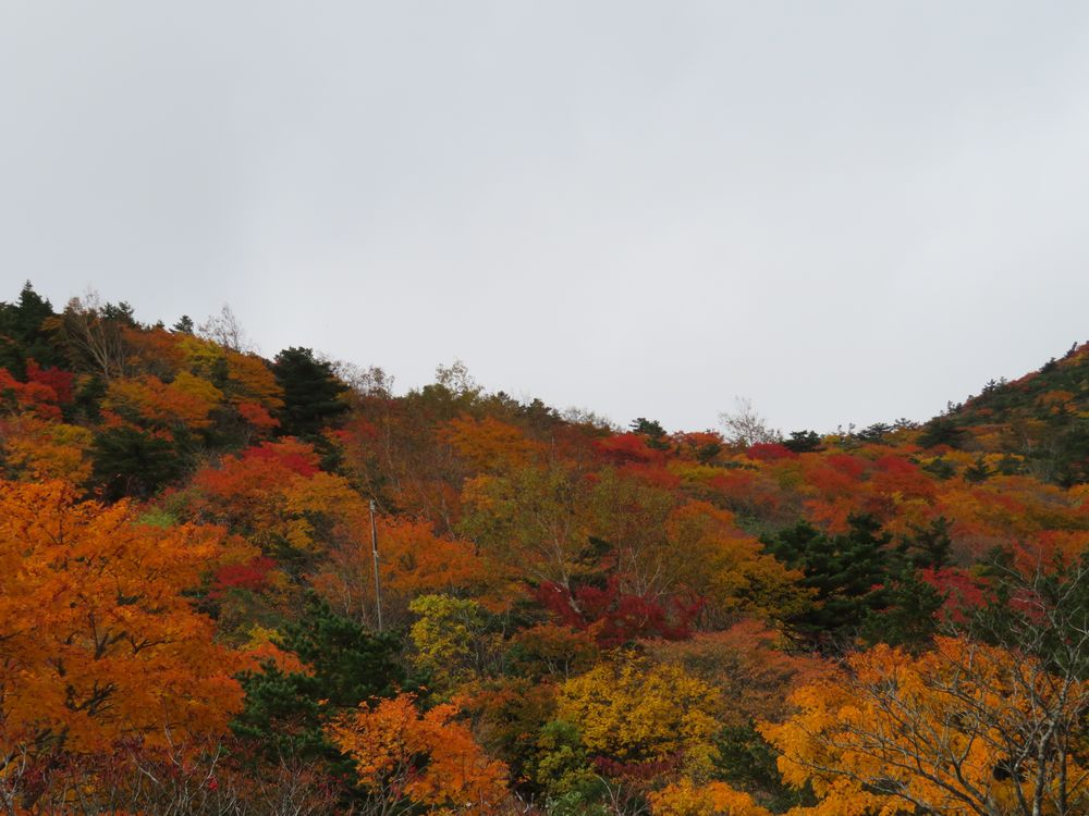 安達太良山の紅葉