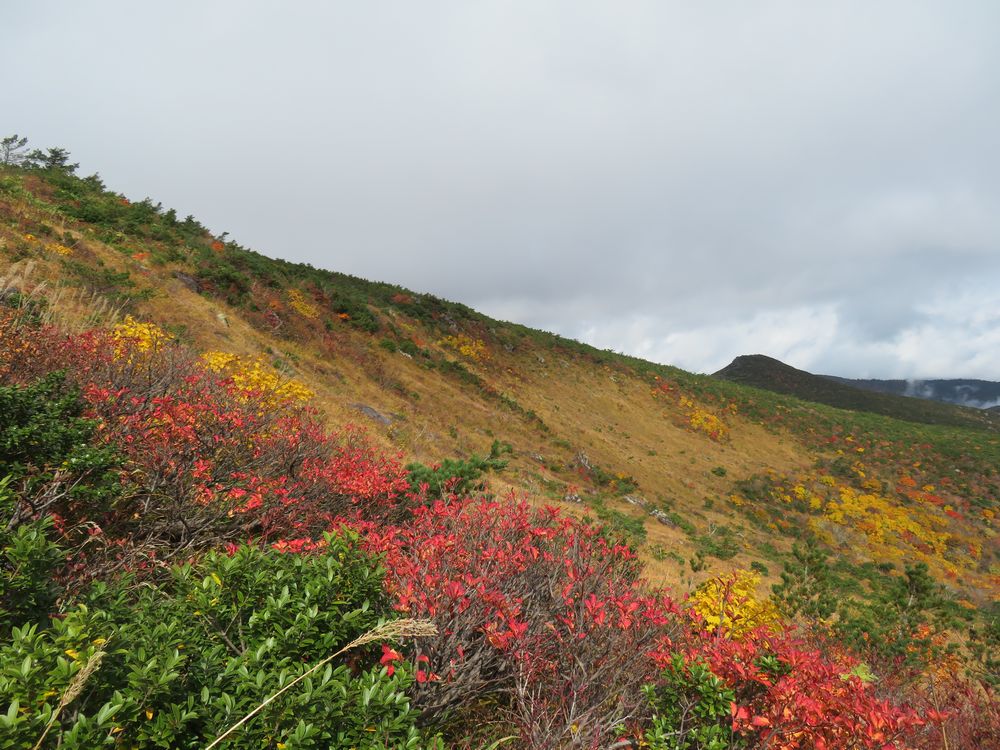 安達太良山の紅葉